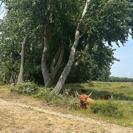 Zomerhuis Duinzicht Egmond aan den Hoef Extérieur photo