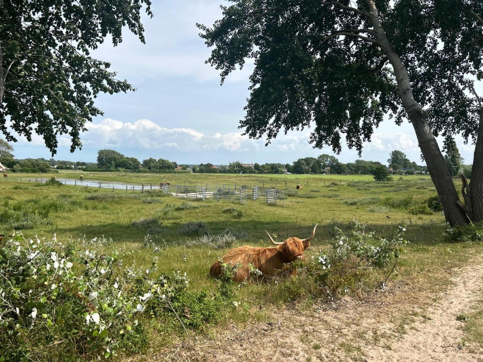 Zomerhuis Duinzicht Egmond aan den Hoef Extérieur photo