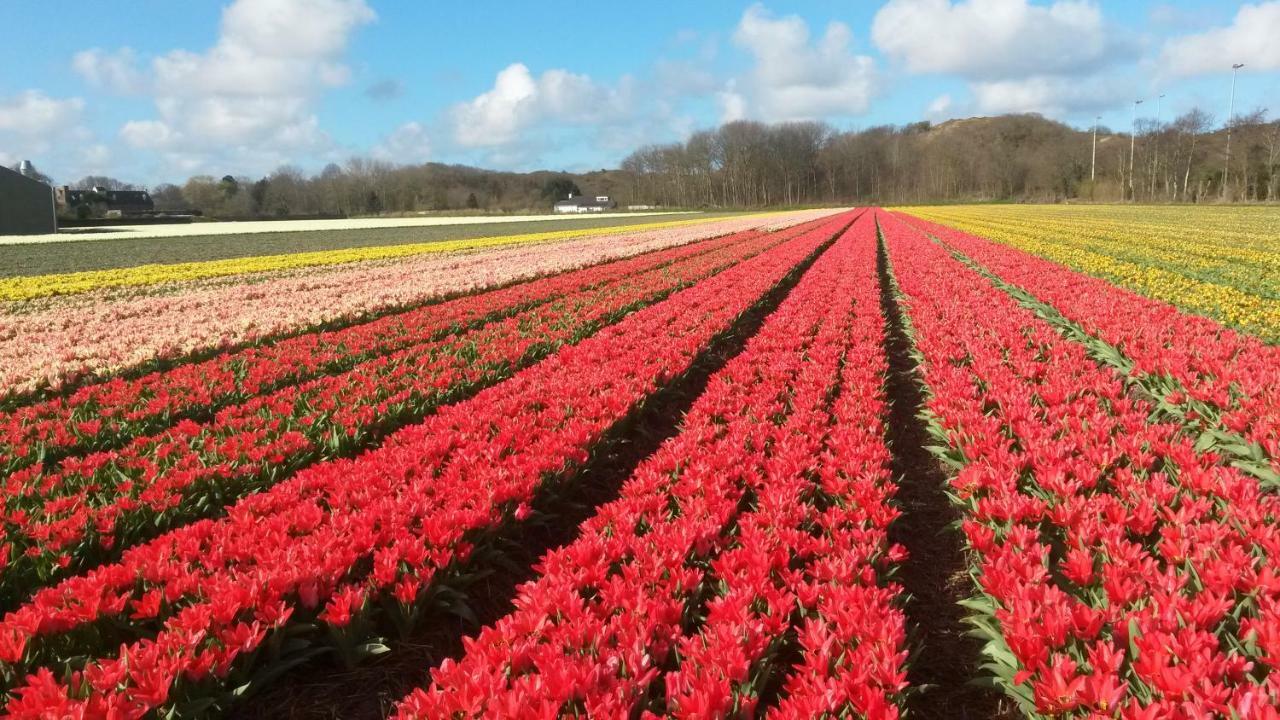 Zomerhuis Duinzicht Egmond aan den Hoef Extérieur photo
